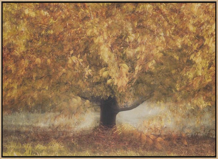 Gold colors - Stretched Canvas, Poster or Fine Art Print I Heart Wall Art