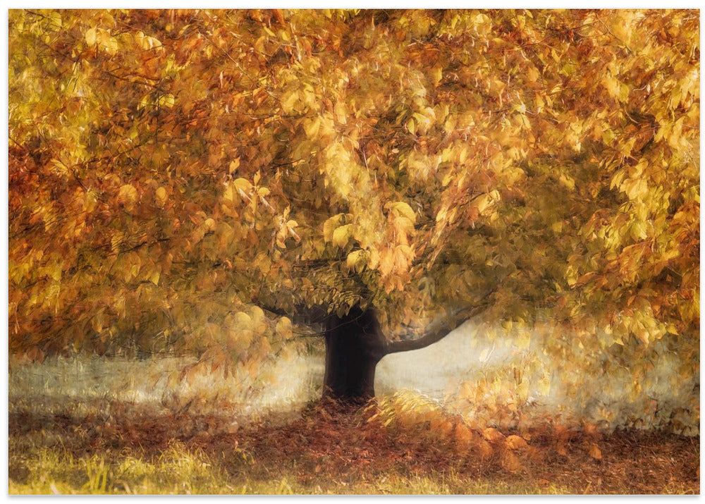 Gold colors - Stretched Canvas, Poster or Fine Art Print I Heart Wall Art