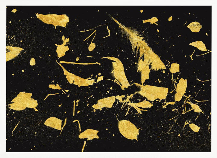 Gold Dust - Stretched Canvas, Poster or Fine Art Print I Heart Wall Art