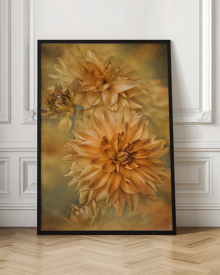 Golden Autumn Dahlias - Floral Photographic Stretched Canvas Poster or Fine Art Print