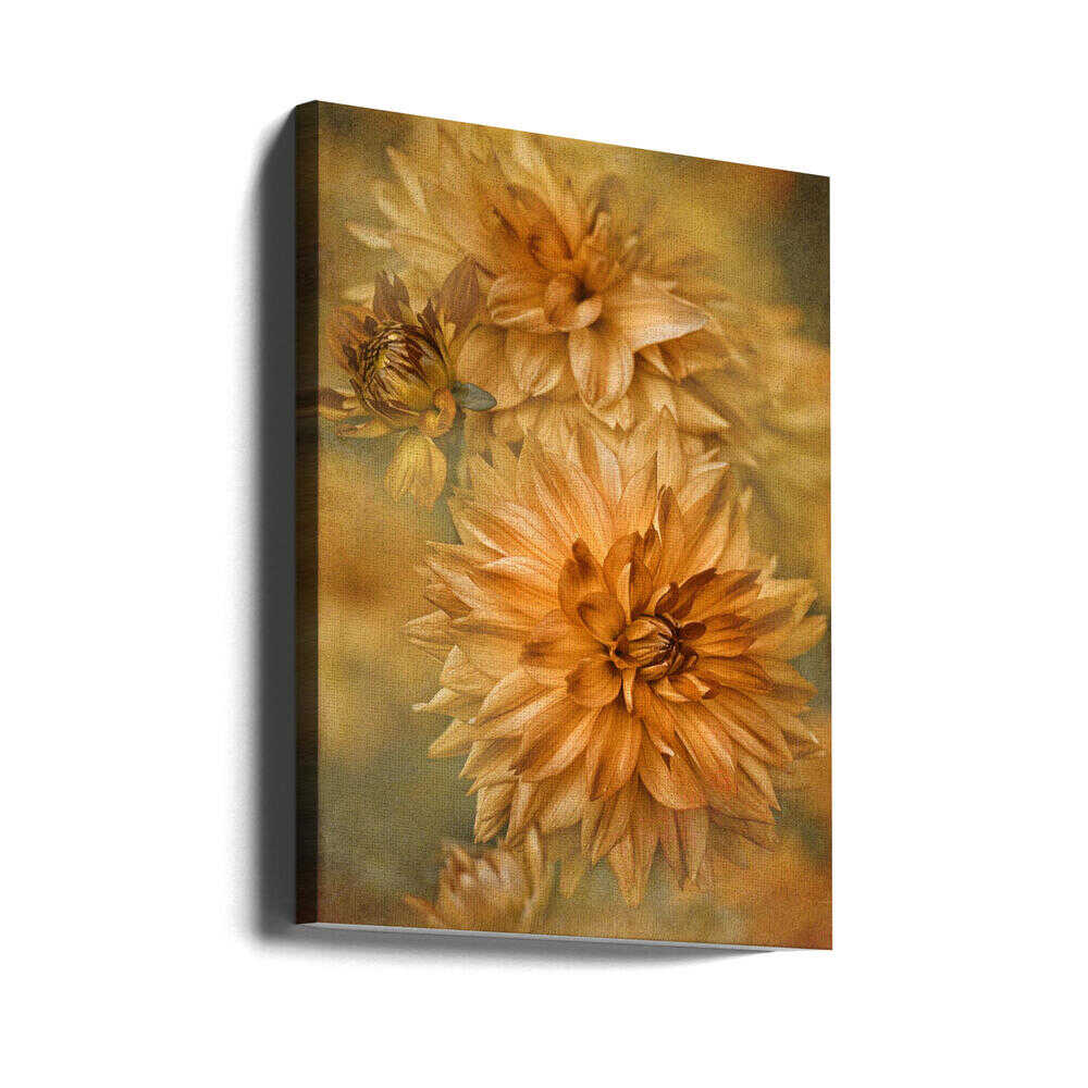 Golden Autumn Dahlias - Floral Photographic Stretched Canvas Poster or Fine Art Print
