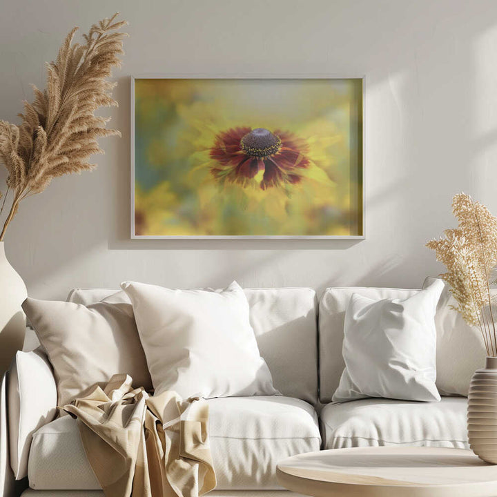 Golden Dream Bloom - Floral Photographic Stretched Canvas Poster or Fine Art Print