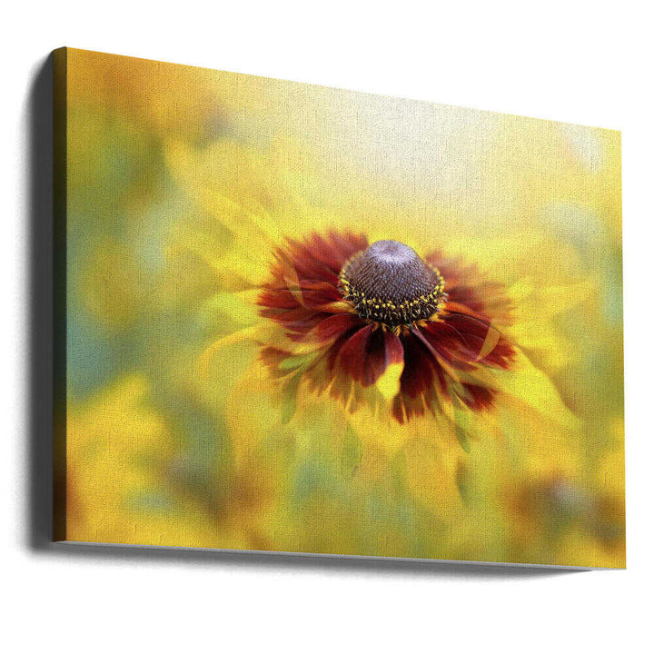 Golden Dream Bloom - Floral Photographic Stretched Canvas Poster or Fine Art Print