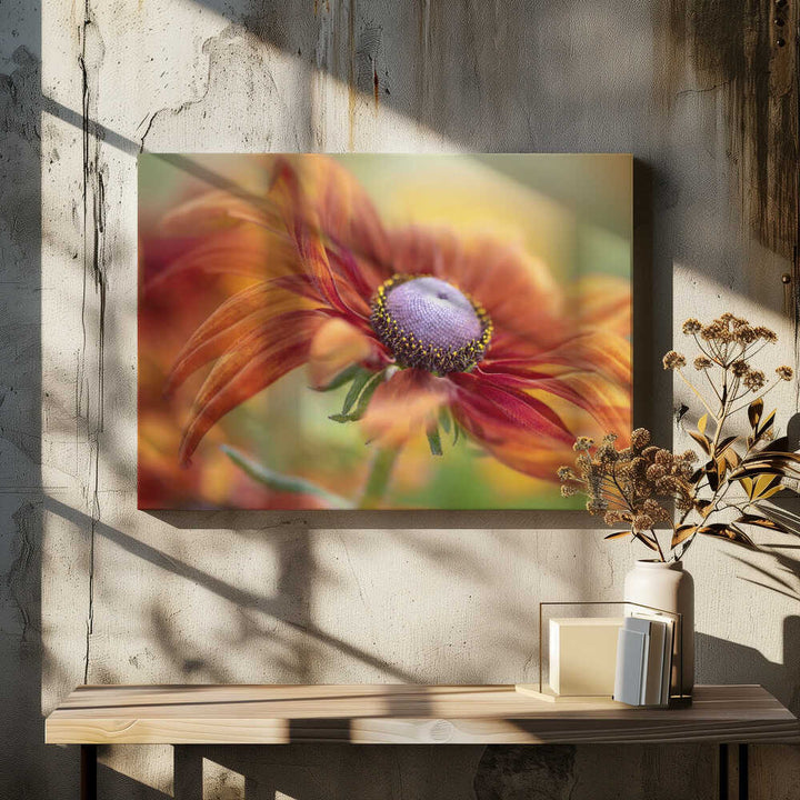 Golden Orange Bloom - Floral Photographic Stretched Canvas Poster or Fine Art Print