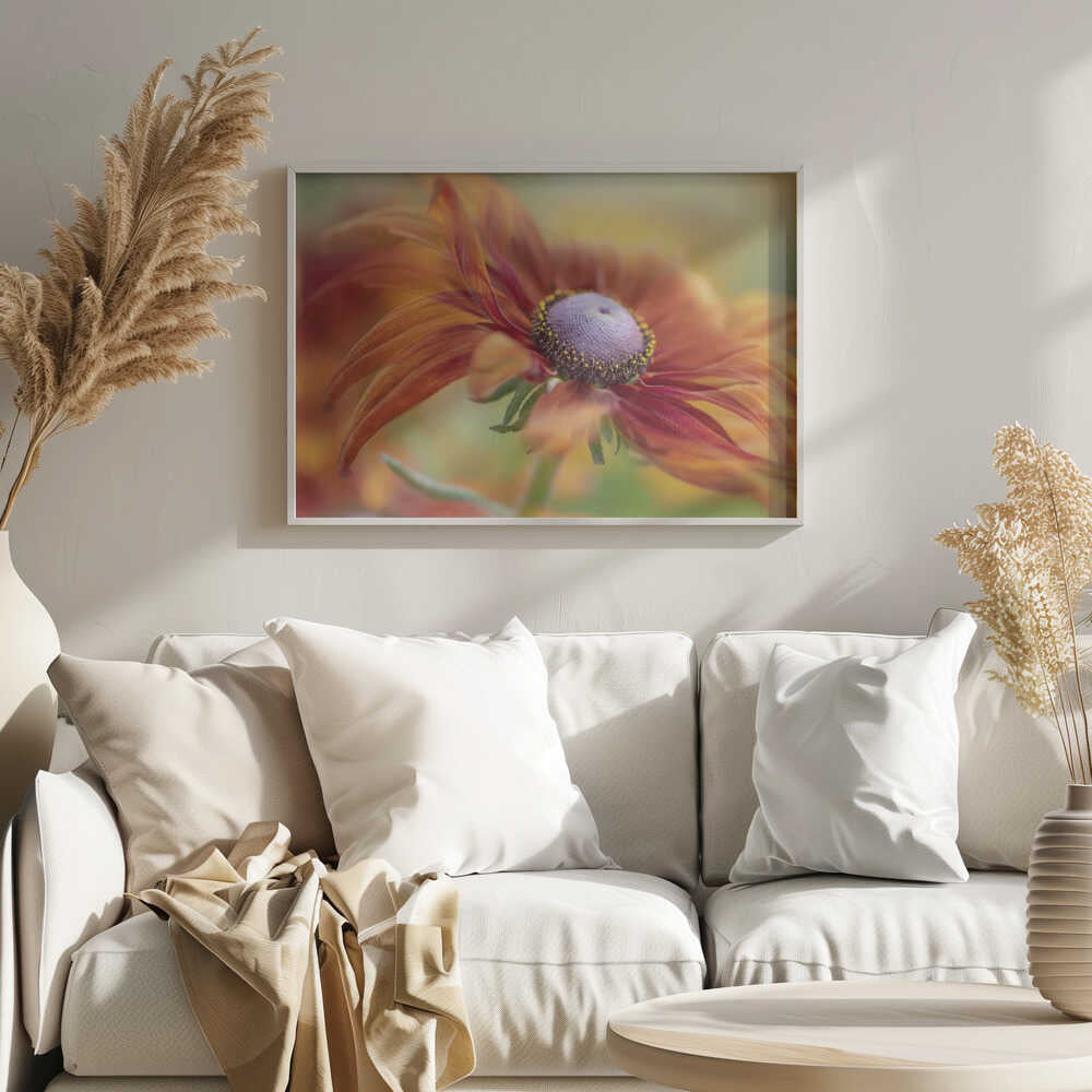 Golden Orange Bloom - Floral Photographic Stretched Canvas Poster or Fine Art Print