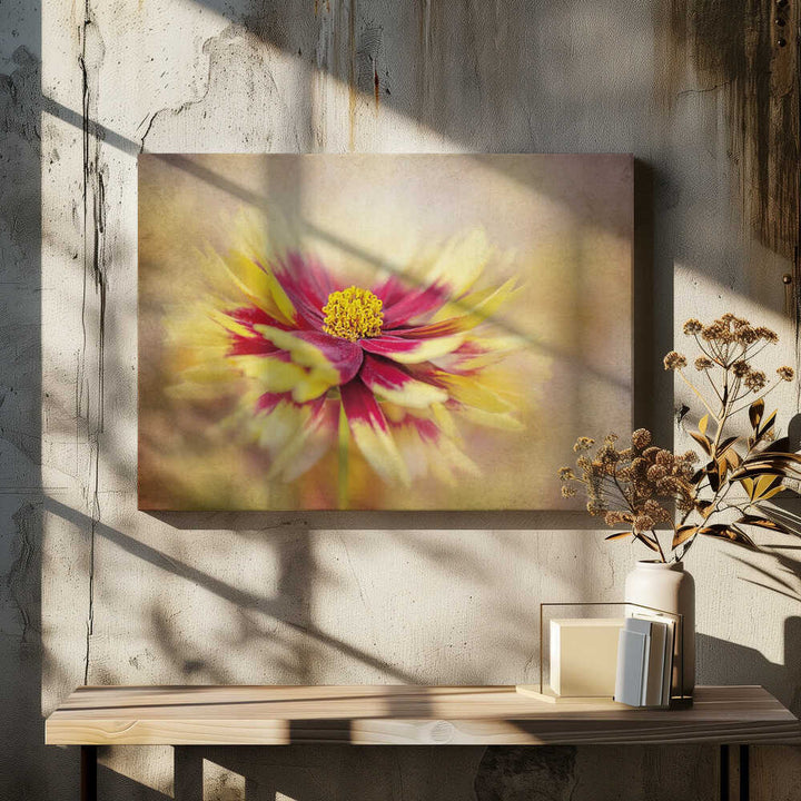 Golden Red Bloom - Floral Photographic Stretched Canvas Poster or Fine Art Print