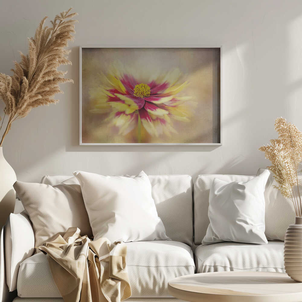 Golden Red Bloom - Floral Photographic Stretched Canvas Poster or Fine Art Print