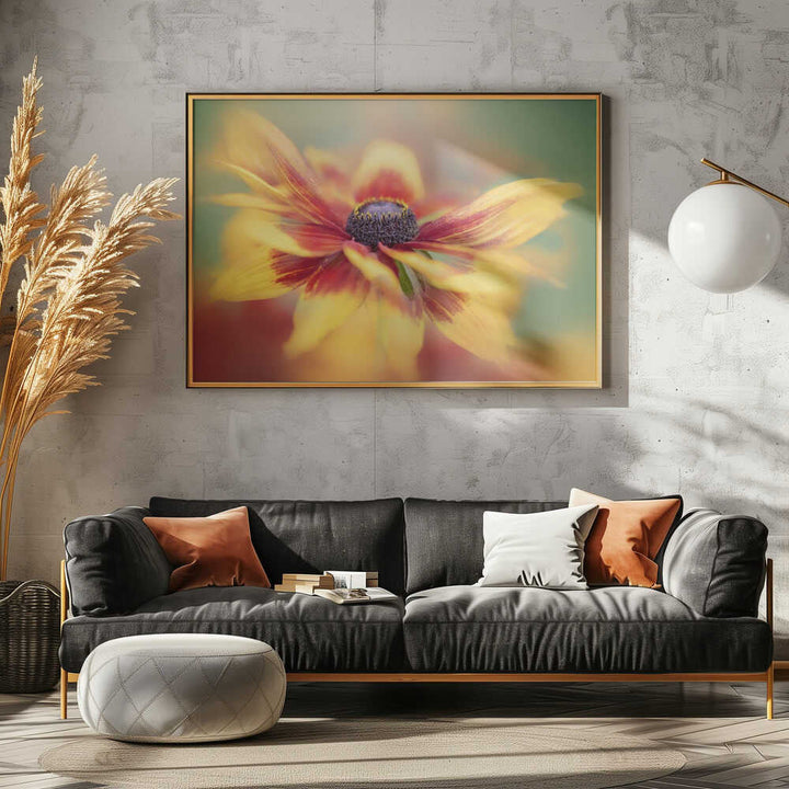 Golden Summer Bloom - Floral Photographic Stretched Canvas Poster or Fine Art Print