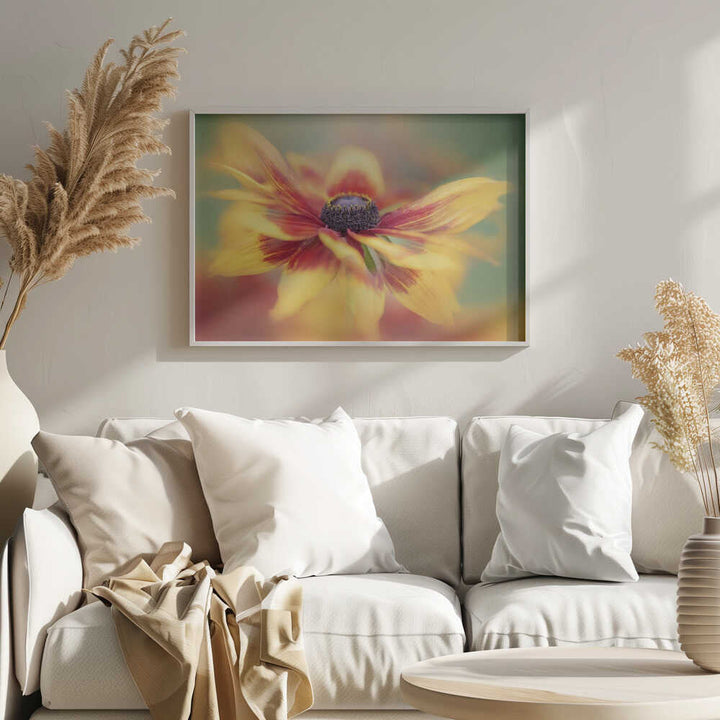 Golden Summer Bloom - Floral Photographic Stretched Canvas Poster or Fine Art Print