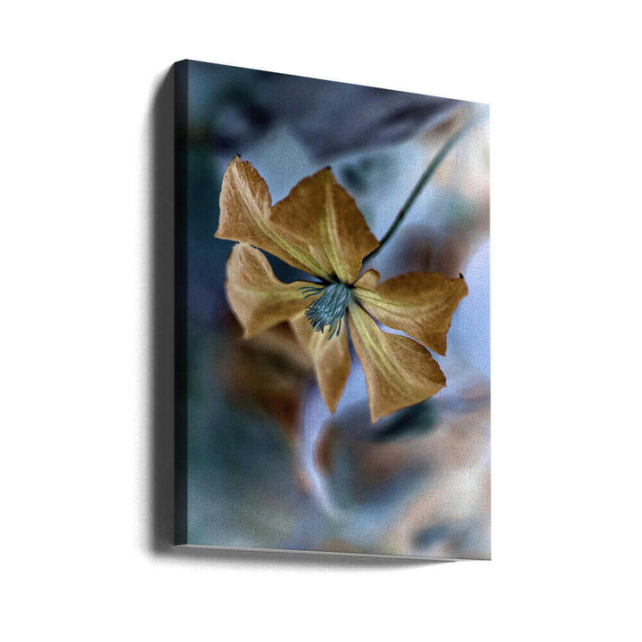 Golden Teal Bloom - Floral Photographic Stretched Canvas Poster or Fine Art Print