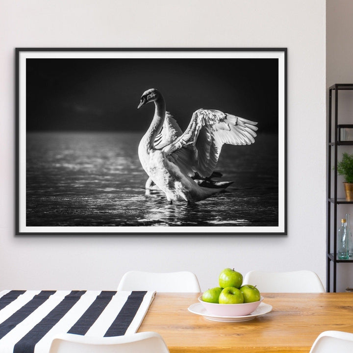 Graceful Swan - Black and White Swan Photographic Framed Canvas Print Wall Art Print - I Heart Wall Art