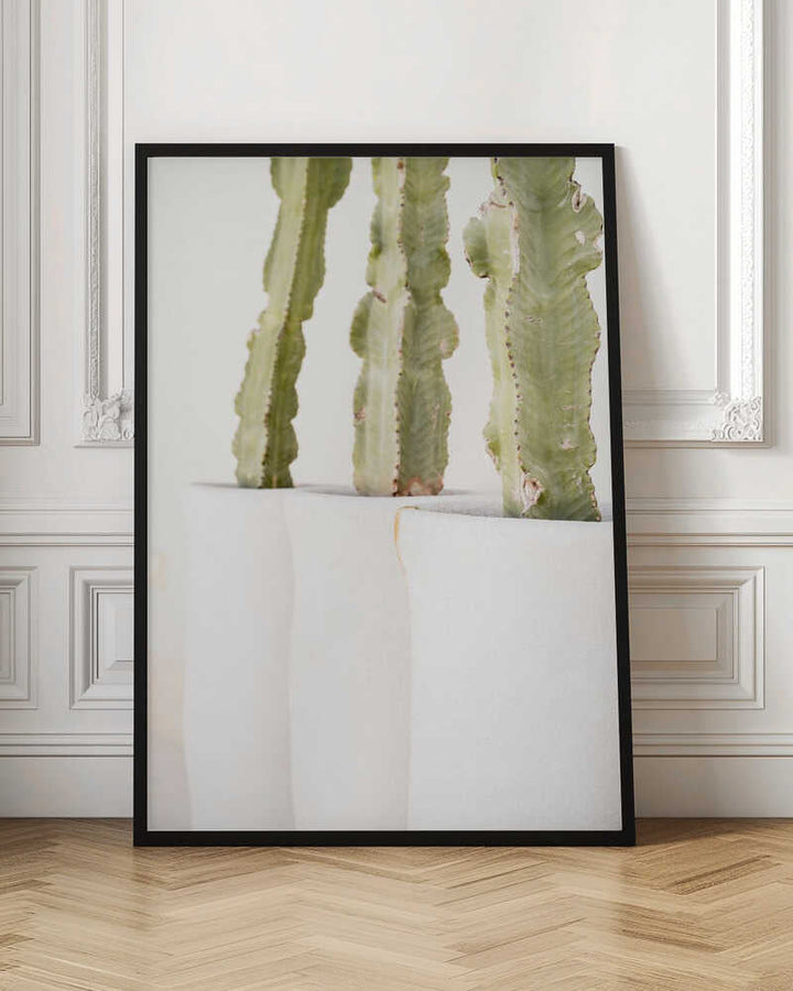 Green and White - Stretched Canvas, Poster or Fine Art Print - I Heart Wall Art - Poster Print, Canvas Print or Framed Art Print