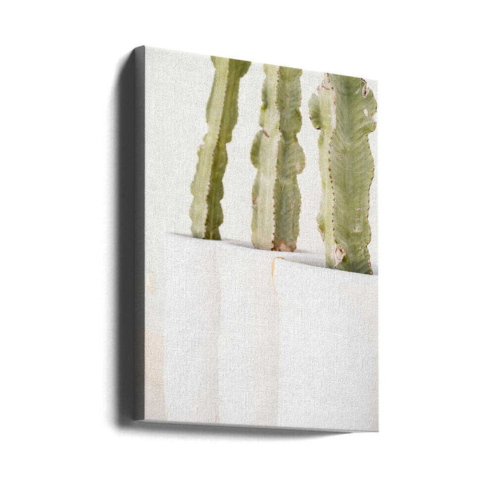 Green and White - Stretched Canvas, Poster or Fine Art Print - I Heart Wall Art - Poster Print, Canvas Print or Framed Art Print