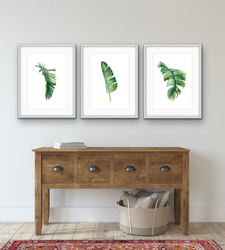 Green Banana Palm Trio - Three Piece Tropical Banana Palm Leaf Print Set Triptych - I Heart Wall Art