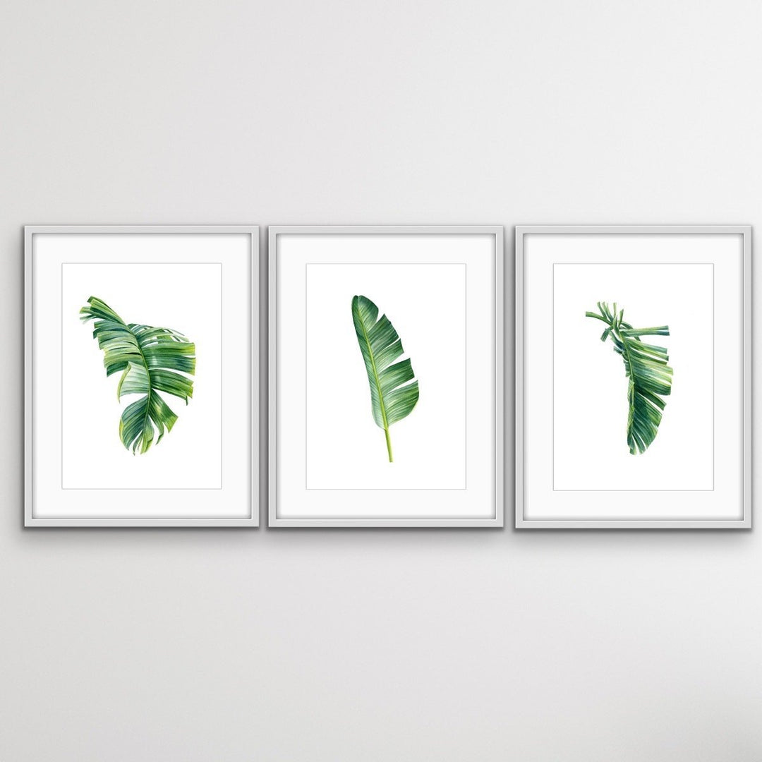 Green Banana Palm Trio - Three Piece Tropical Banana Palm Leaf Print Set Triptych - I Heart Wall Art