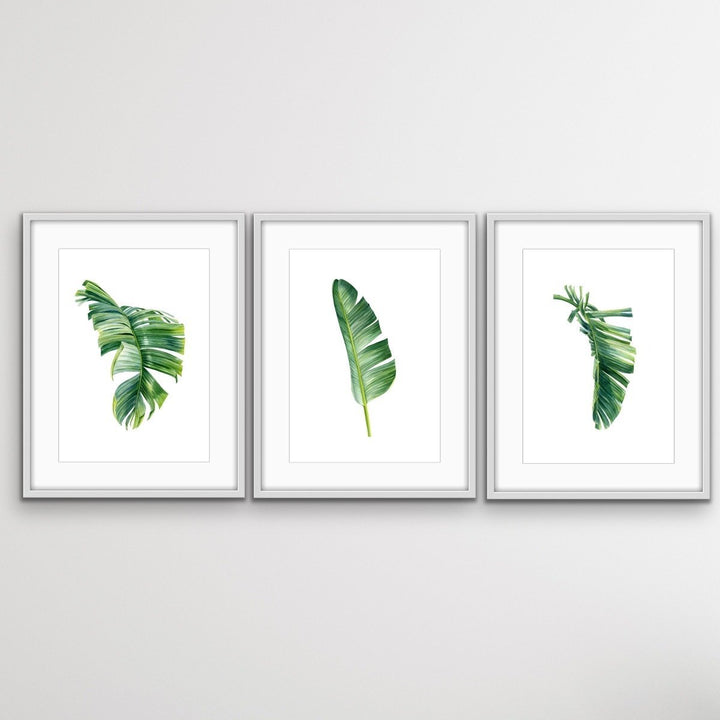 Green Banana Palm Trio - Three Piece Tropical Banana Palm Leaf Print Set Triptych - I Heart Wall Art