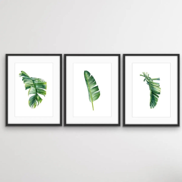 Green Banana Palm Trio - Three Piece Tropical Banana Palm Leaf Print Set Triptych - I Heart Wall Art