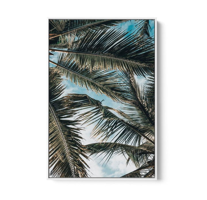 Green Fronds - Coastal Palm Photographic Art / Stretched Canvas Print - I Heart Wall Art - Poster Print, Canvas Print or Framed Art Print