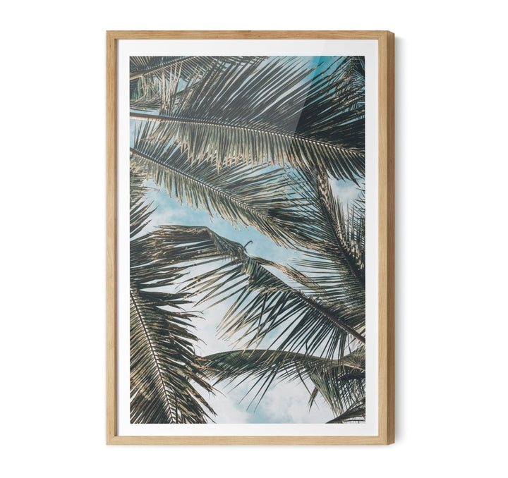 Green Fronds - Coastal Palm Photographic Art / Stretched Canvas Print - I Heart Wall Art - Poster Print, Canvas Print or Framed Art Print