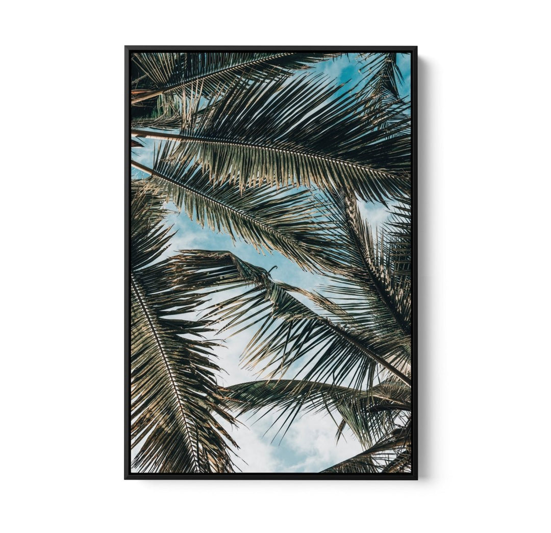 Green Fronds - Coastal Palm Photographic Art / Stretched Canvas Print - I Heart Wall Art - Poster Print, Canvas Print or Framed Art Print