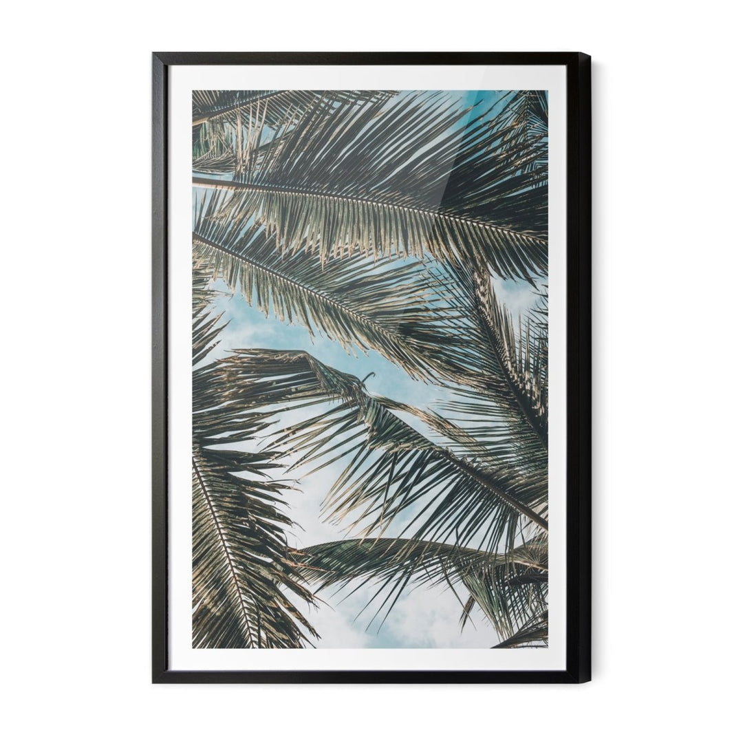 Green Fronds - Coastal Palm Photographic Art / Stretched Canvas Print - I Heart Wall Art - Poster Print, Canvas Print or Framed Art Print