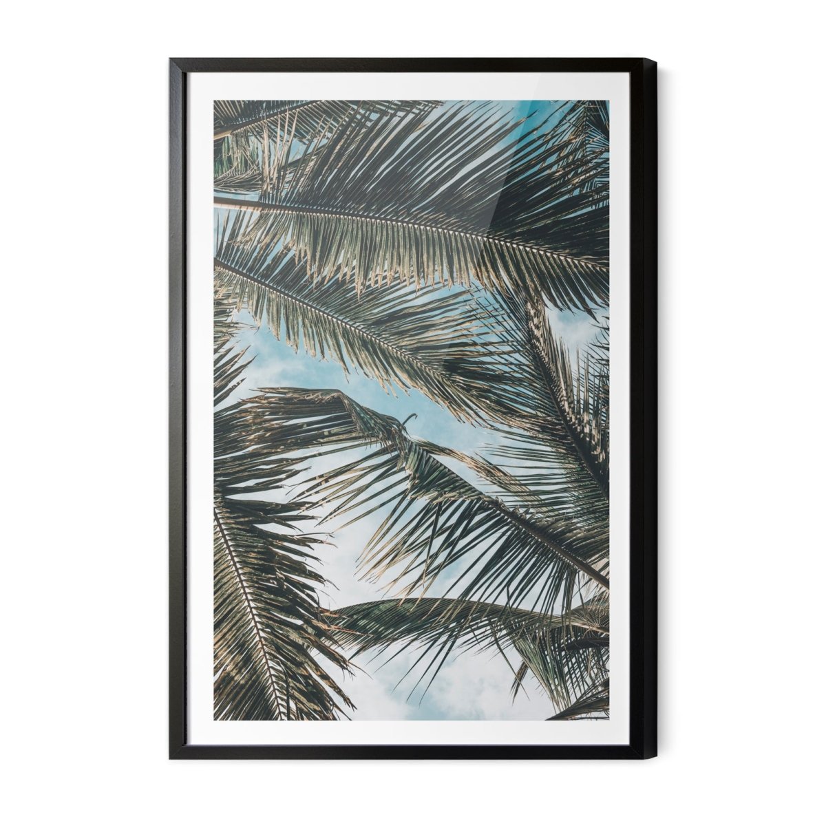 Green Fronds - Coastal Palm Photographic Art / Stretched Canvas Print - I Heart Wall Art - Poster Print, Canvas Print or Framed Art Print