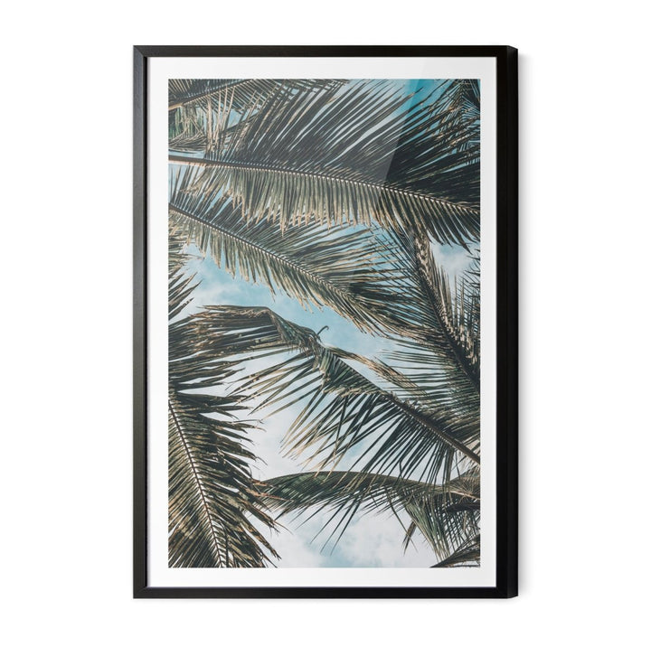 Green Fronds - Coastal Palm Photographic Art / Stretched Canvas Print - I Heart Wall Art - Poster Print, Canvas Print or Framed Art Print