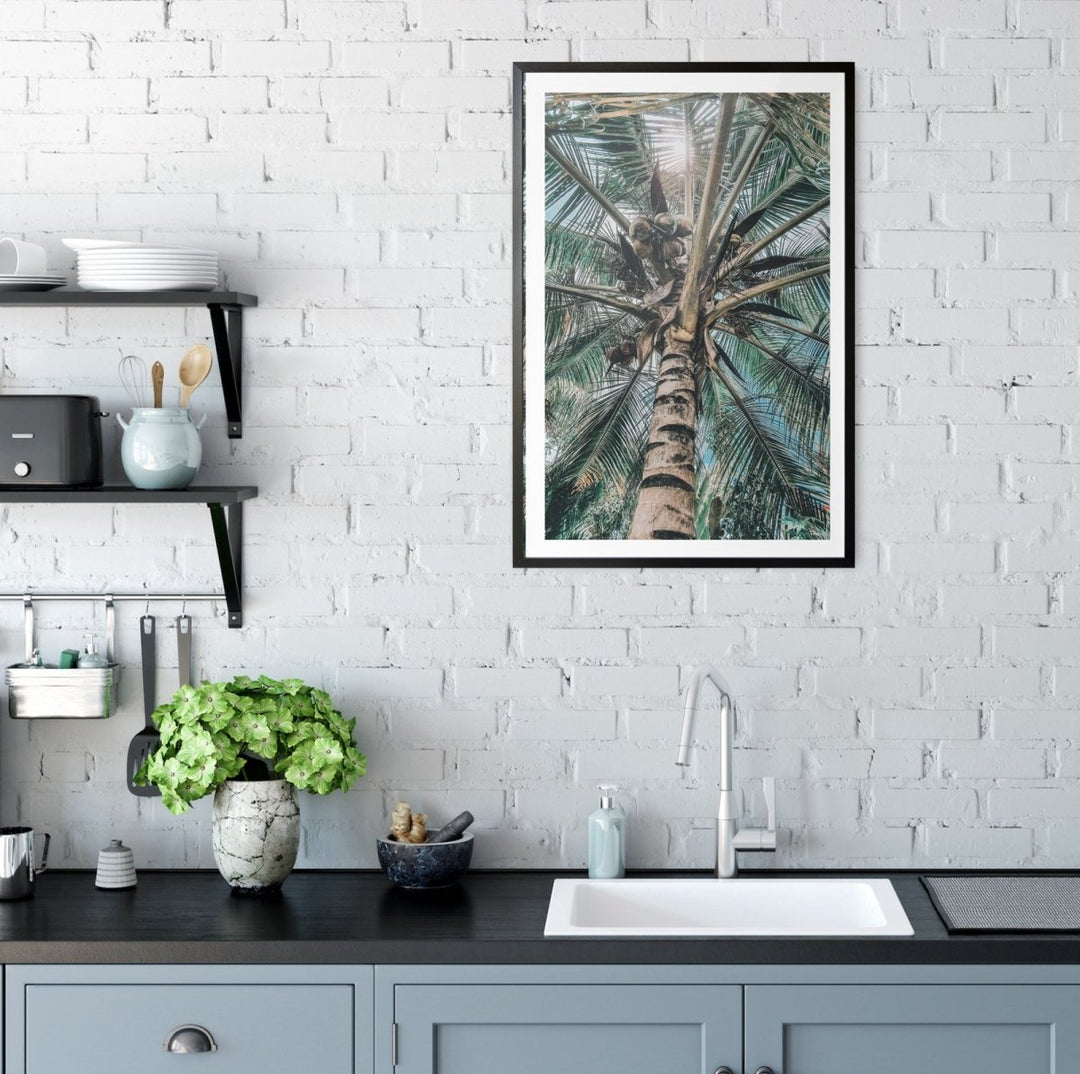 Green Fronds II - Coastal Palm Photographic Art / Stretched Canvas Print - I Heart Wall Art - Poster Print, Canvas Print or Framed Art Print