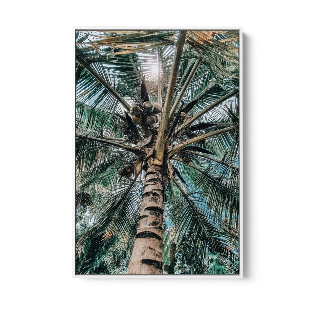 Green Fronds II - Coastal Palm Photographic Art / Stretched Canvas Print - I Heart Wall Art - Poster Print, Canvas Print or Framed Art Print