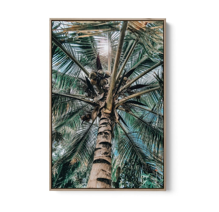Green Fronds II - Coastal Palm Photographic Art / Stretched Canvas Print - I Heart Wall Art - Poster Print, Canvas Print or Framed Art Print