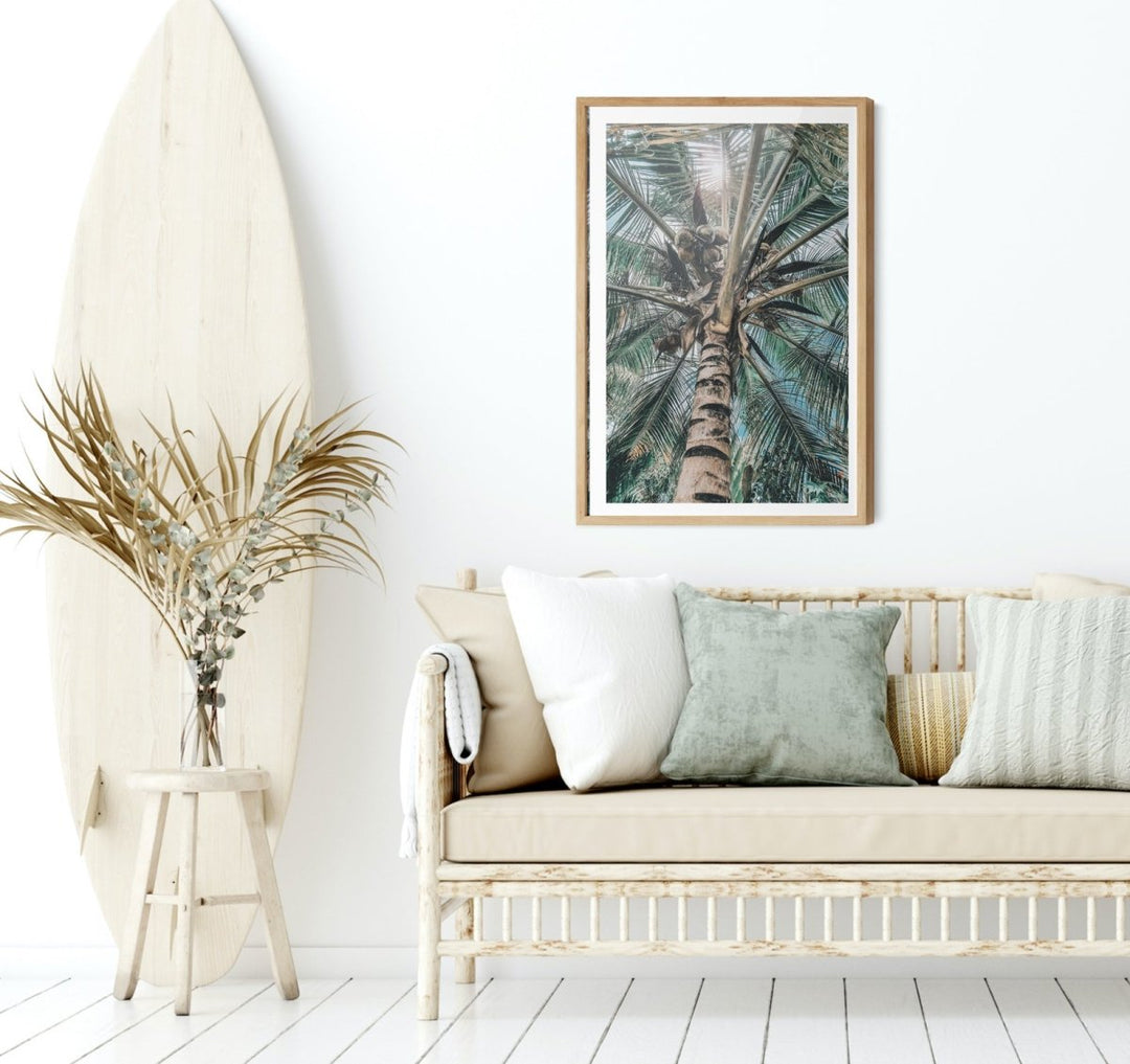 Green Fronds II - Coastal Palm Photographic Art / Stretched Canvas Print - I Heart Wall Art - Poster Print, Canvas Print or Framed Art Print