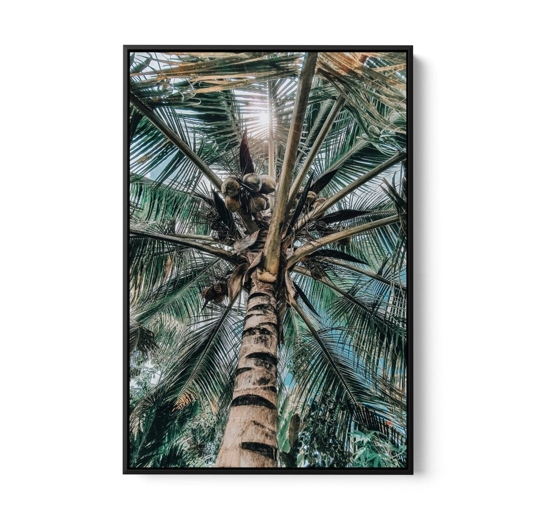 Green Fronds II - Coastal Palm Photographic Art / Stretched Canvas Print - I Heart Wall Art - Poster Print, Canvas Print or Framed Art Print