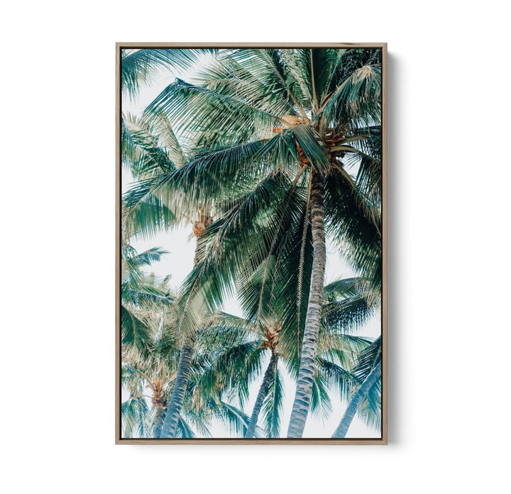 Green Fronds III - Coastal Palm Photographic Art / Stretched Canvas Print - I Heart Wall Art - Poster Print, Canvas Print or Framed Art Print
