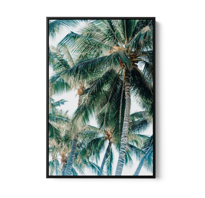 Green Fronds III - Coastal Palm Photographic Art / Stretched Canvas Print - I Heart Wall Art - Poster Print, Canvas Print or Framed Art Print