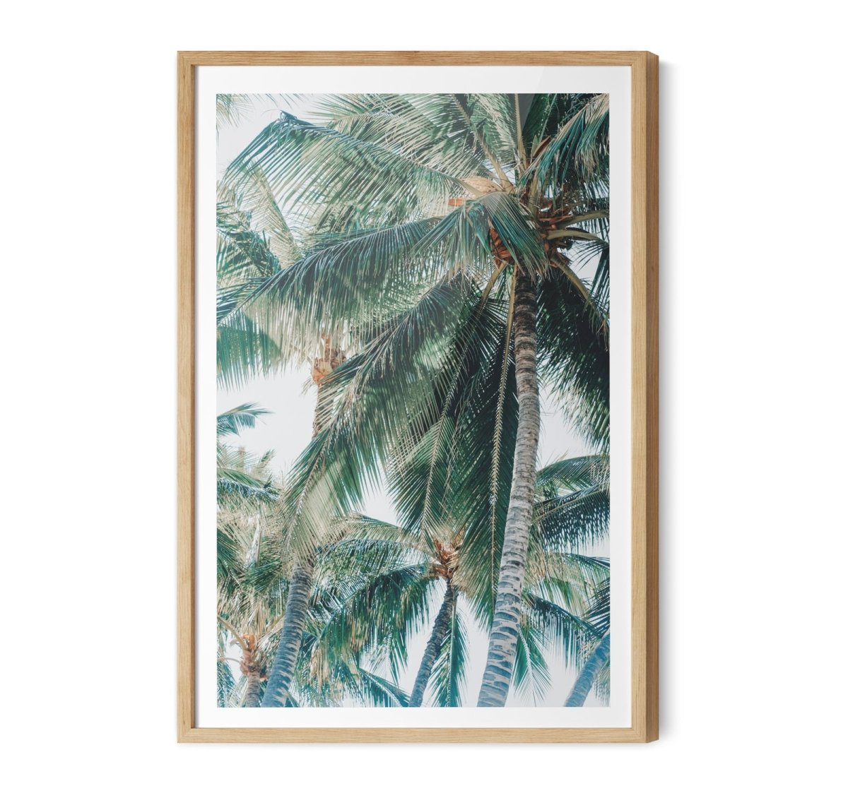 Green Fronds III - Coastal Palm Photographic Art / Stretched Canvas Print - I Heart Wall Art - Poster Print, Canvas Print or Framed Art Print