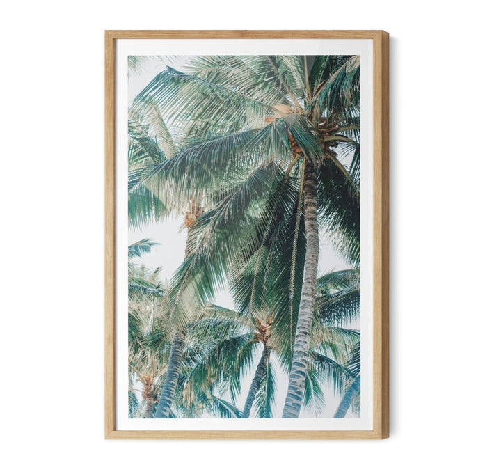 Green Fronds III - Coastal Palm Photographic Art / Stretched Canvas Print - I Heart Wall Art - Poster Print, Canvas Print or Framed Art Print