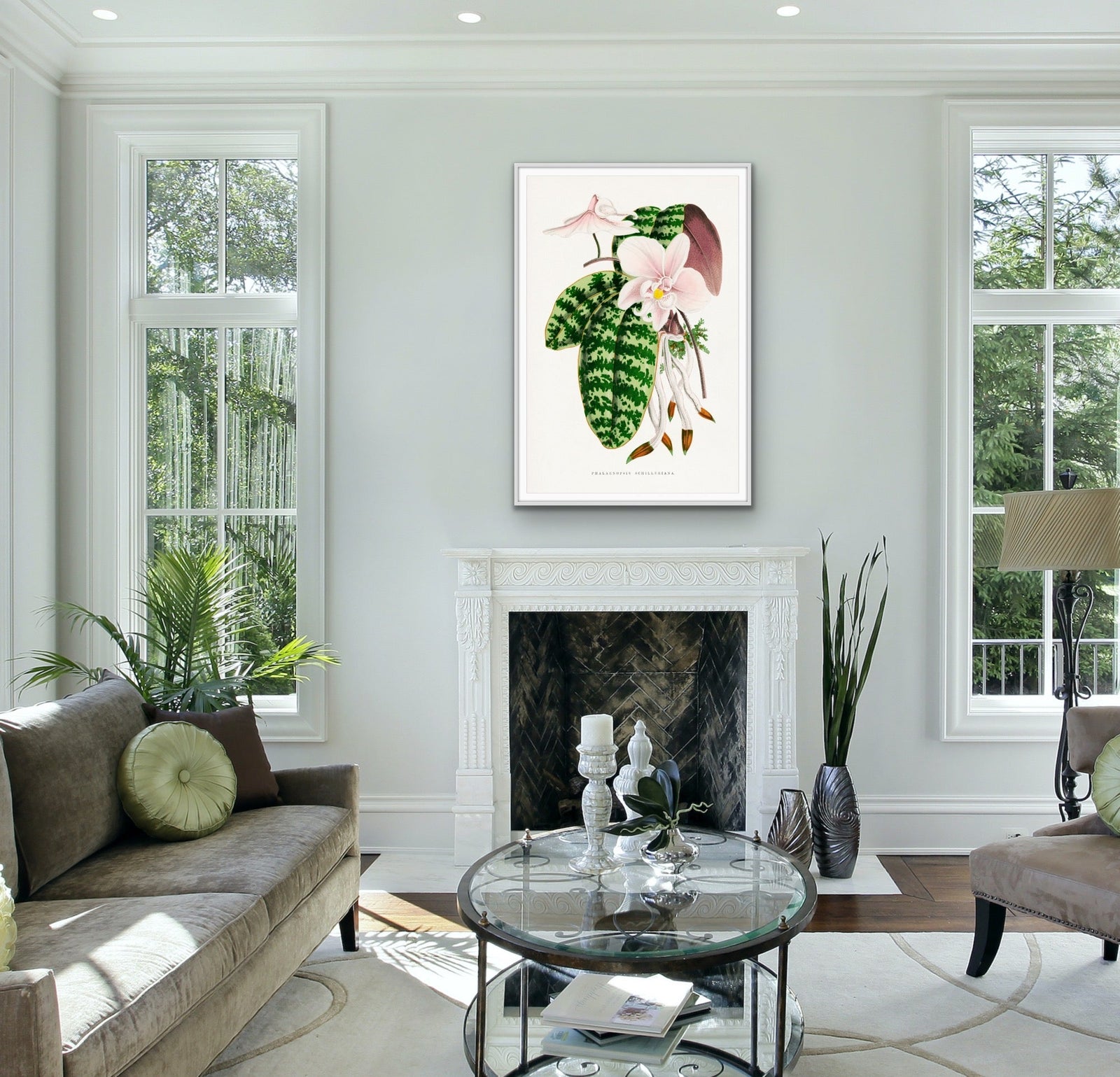 Green Phalaenopsis Schilleriana - Vintage Orchid Illustration, Stretched Canvas, Wall Art Print I Heart Wall Art Australia