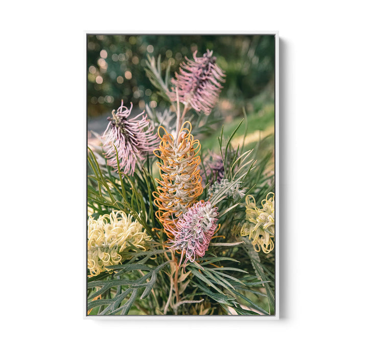 Grevillea Bouquet - Native Floral Photographic Print by IHeartStudio