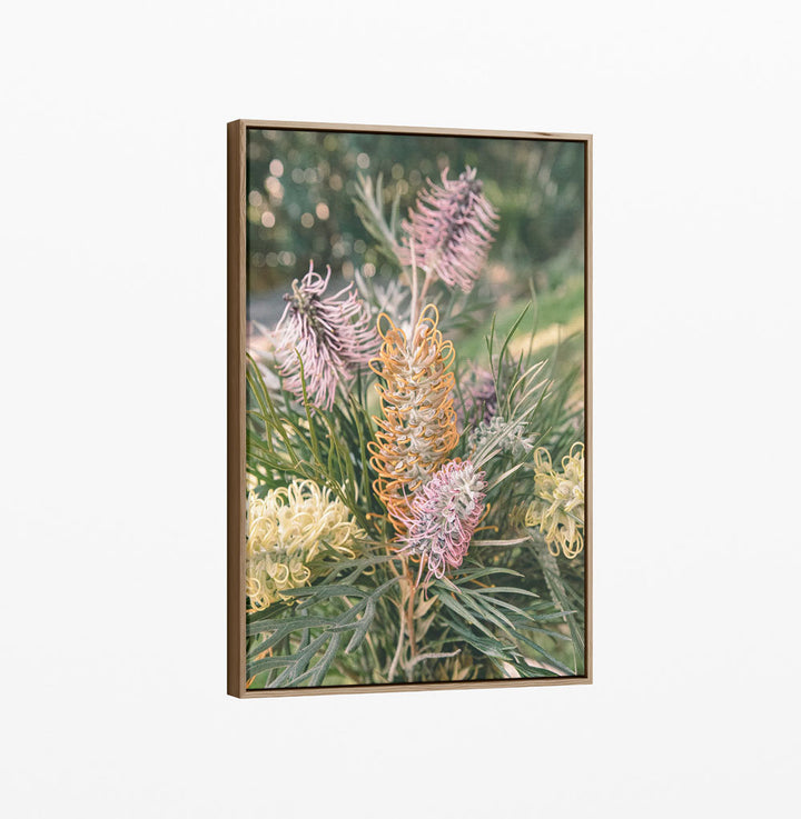 Grevillea Bouquet - Native Floral Photographic Print by IHeartStudio
