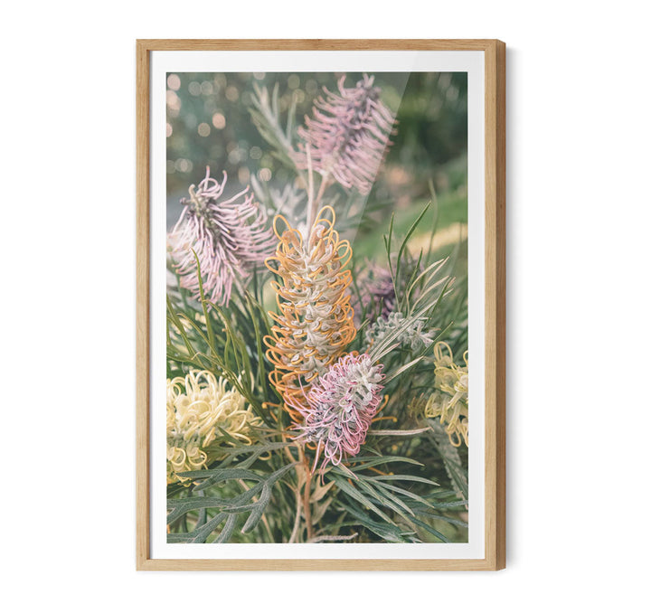 Grevillea Bouquet - Native Floral Photographic Print by IHeartStudio