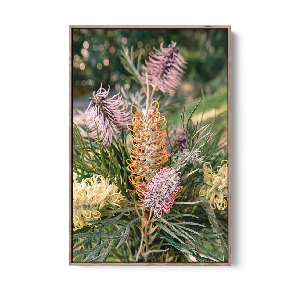 Grevillea Bouquet - Native Floral Photographic Print by IHeartStudio