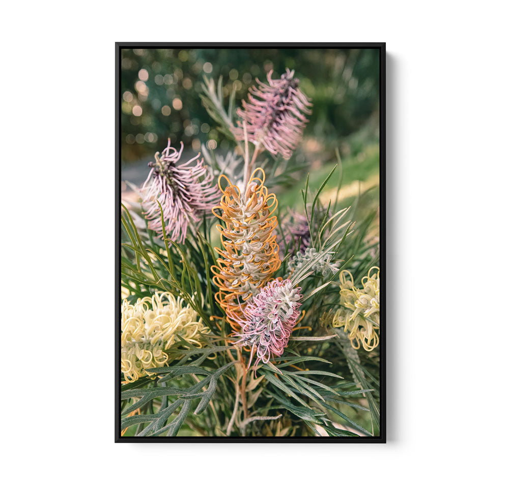 Grevillea Bouquet - Native Floral Photographic Print by IHeartStudio