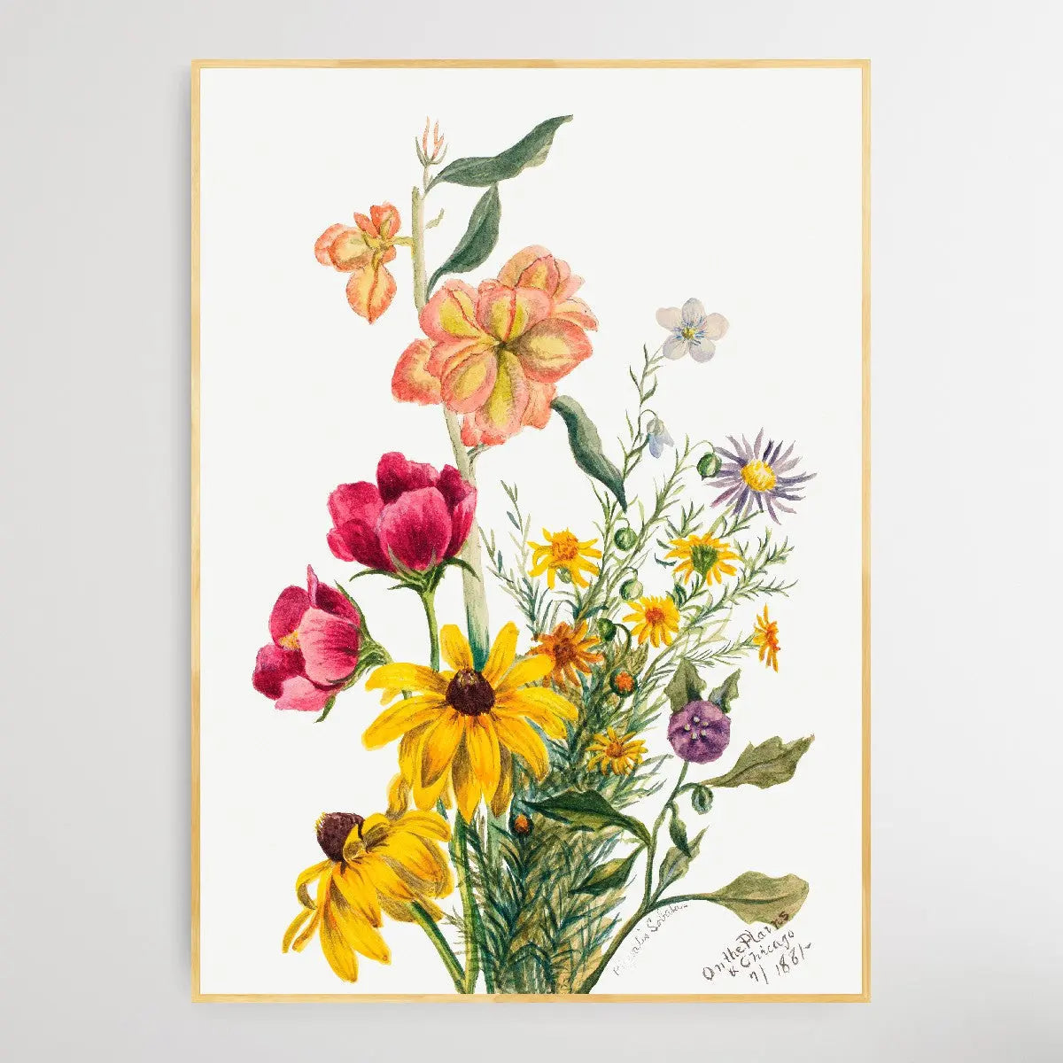 Group of Flowers (1881) by Mary Vaux Walcott I Heart Wall Art Australia 
