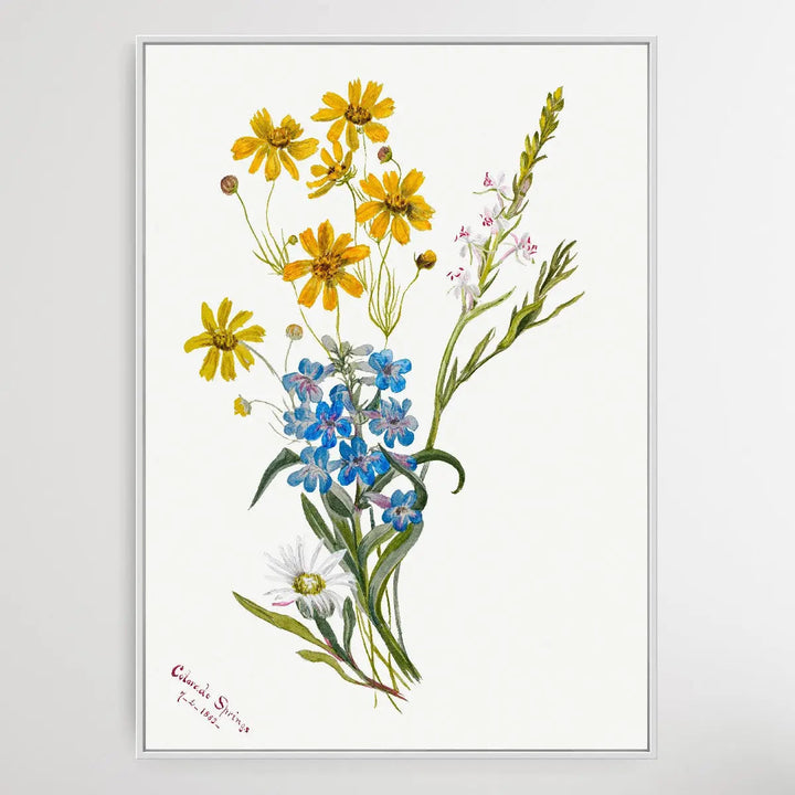 Group of Flowers (1883) by Mary Vaux Walcott I Heart Wall Art Australia 