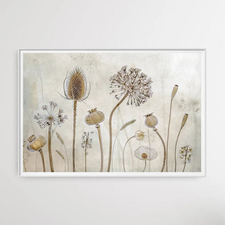 Growing old by Mandy Disher - Seedpod Neutral Photographic Print - I Heart Wall Art