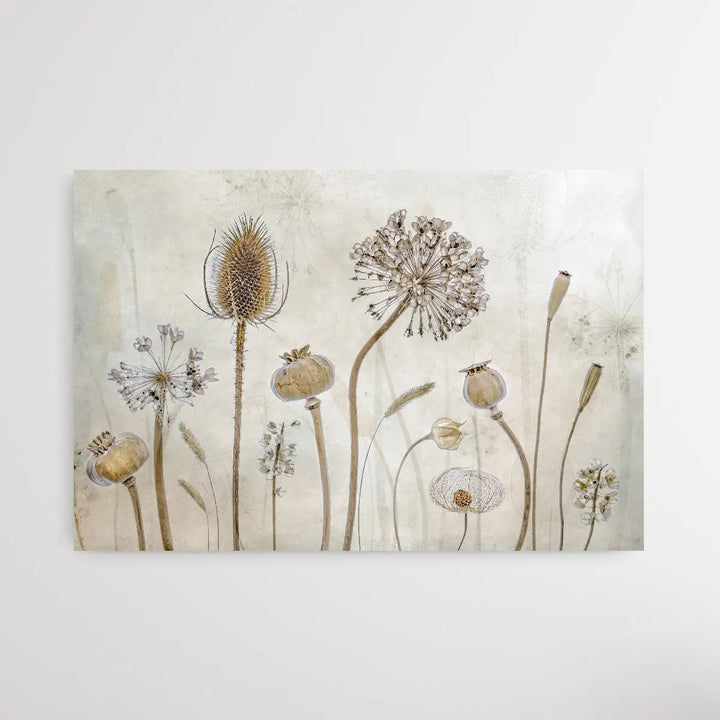 Growing old by Mandy Disher - Seedpod Neutral Photographic Print - I Heart Wall Art