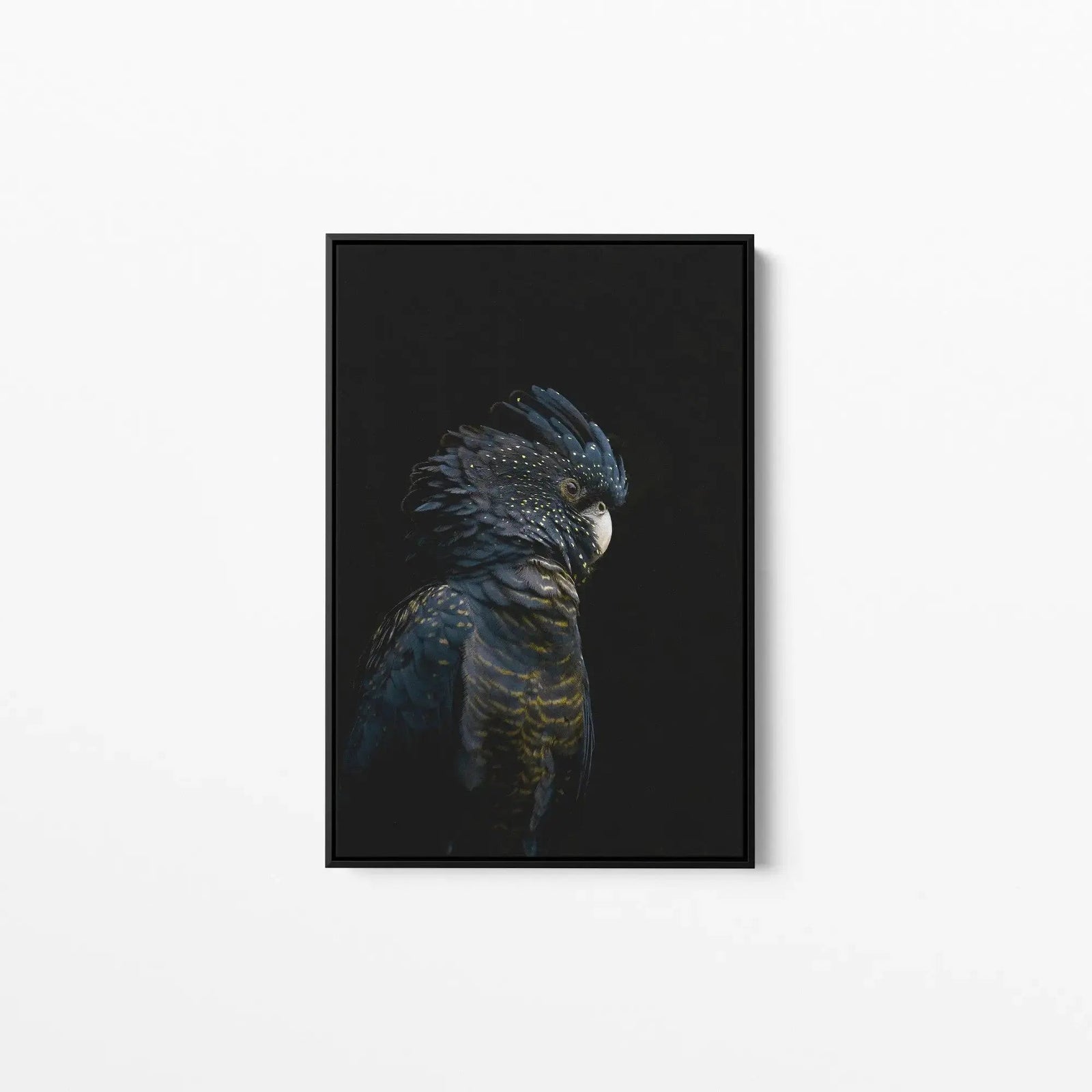 Guardian Black Cockatoo - Art Print Stretched Canvas Wall Art - I Heart Wall Art