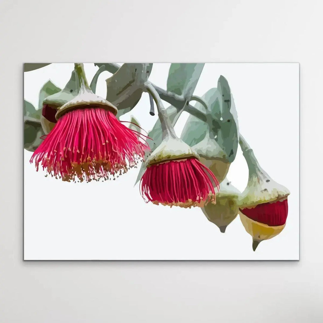 Gumnut Blossoms - Australian Native Flower Original Artwork Canvas or Art Print - I Heart Wall Art - Poster Print, Canvas Print or Framed Art Print
