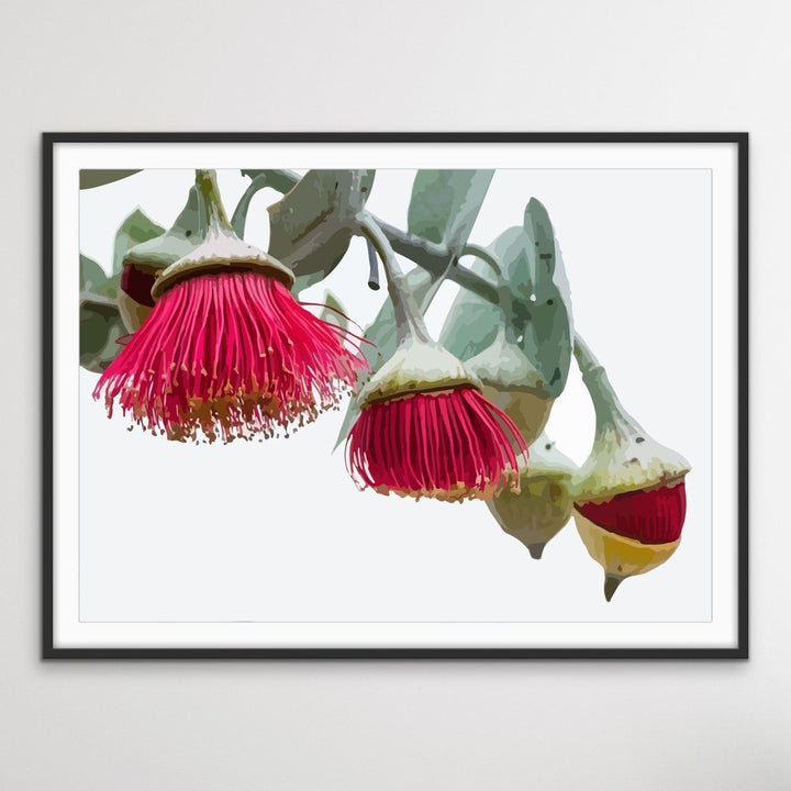 Gumnut Blossoms - Australian Native Flower Original Artwork Canvas or Art Print - I Heart Wall Art