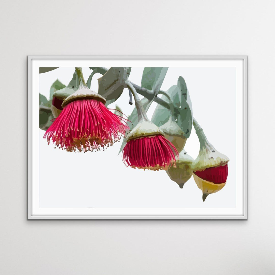 Gumnut Blossoms - Australian Native Flower Original Artwork Canvas or Art Print - I Heart Wall Art